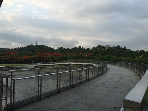 周末读书好去处,深圳大学城图书馆 - 灵尘居